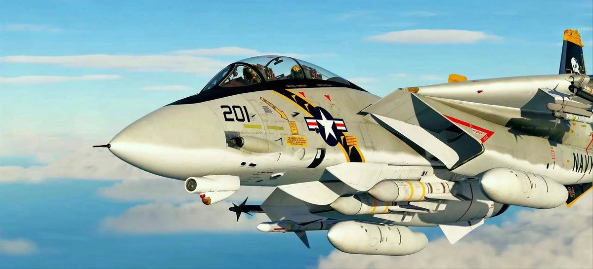 U.S. Navy F-14 Tomcat fighter jet from the Jolly Rogers squadron in flight