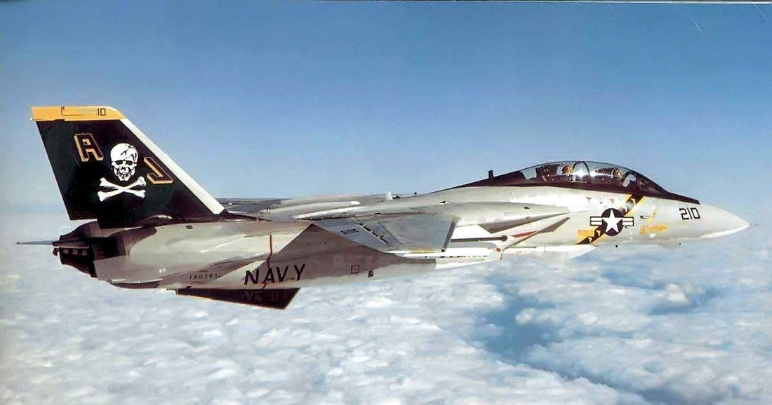 The History of the F-14 Jolly Rogers Squadron (VF-84)
