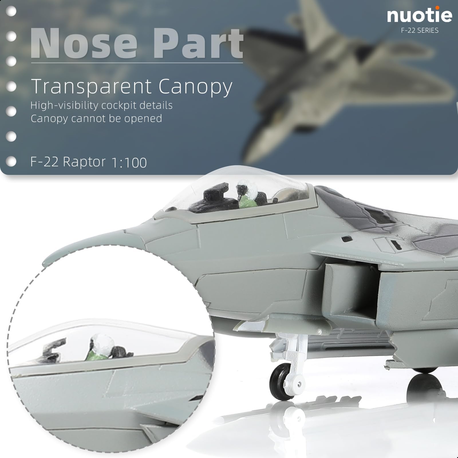 1/100 Scale F-22 Raptor Diecast Metal Model - Stealth Fighter S/N AF91 4002 NUOTIE