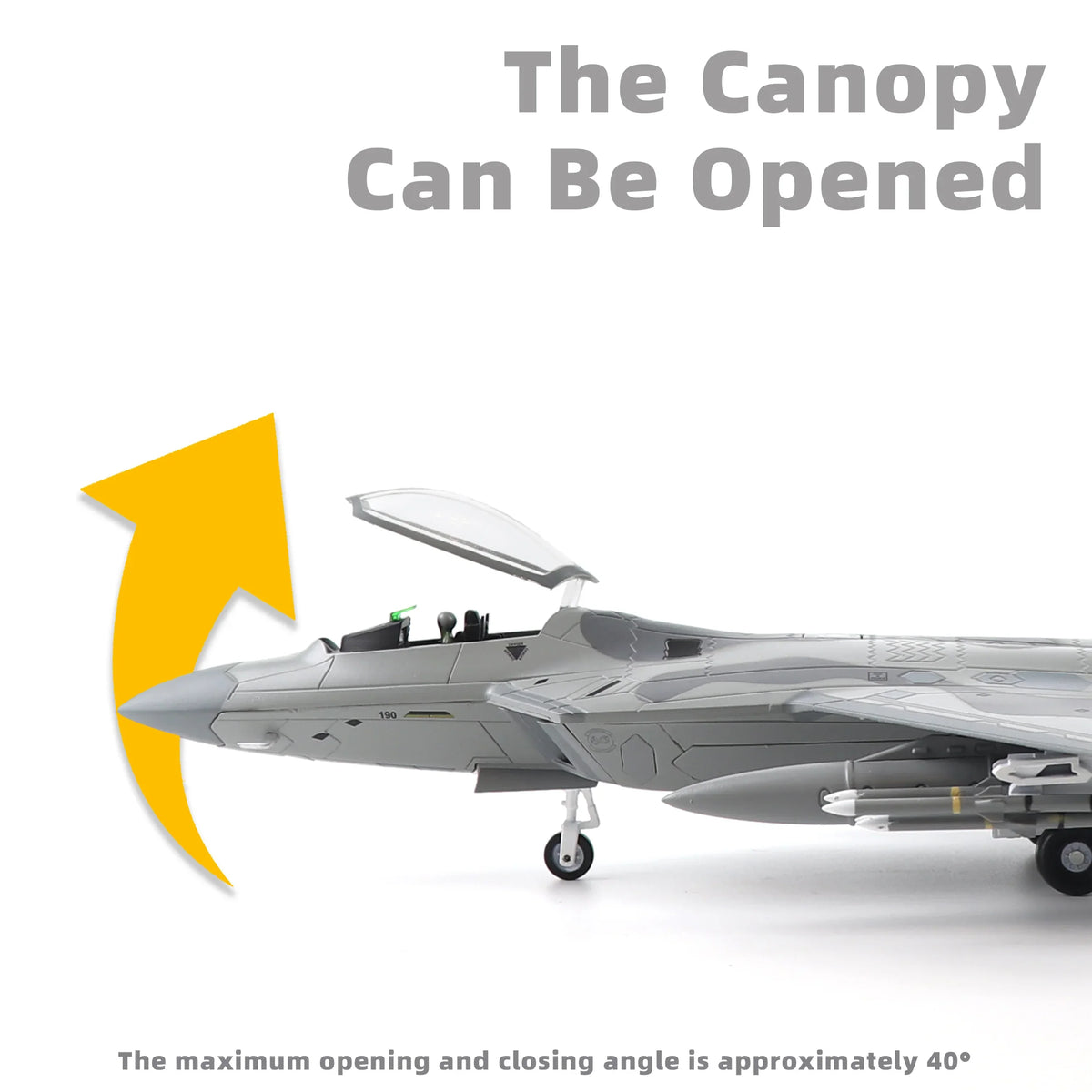 NUOTIE F-22 Raptor model with open canopy, aircraft front view