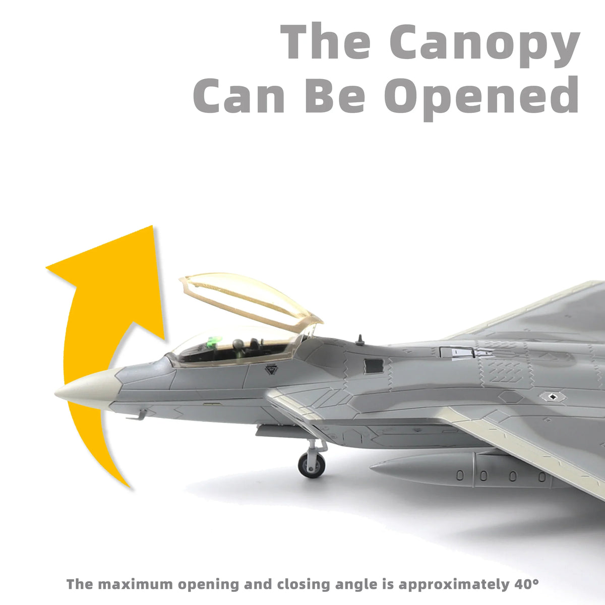 NUOTIE F-22 Raptor model with open canopy, aircraft side view
