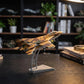 NUOTIE 1/72 IRIAF F-14 Tomcat Model, Solid Diecast Metal Iran Camo Fighter