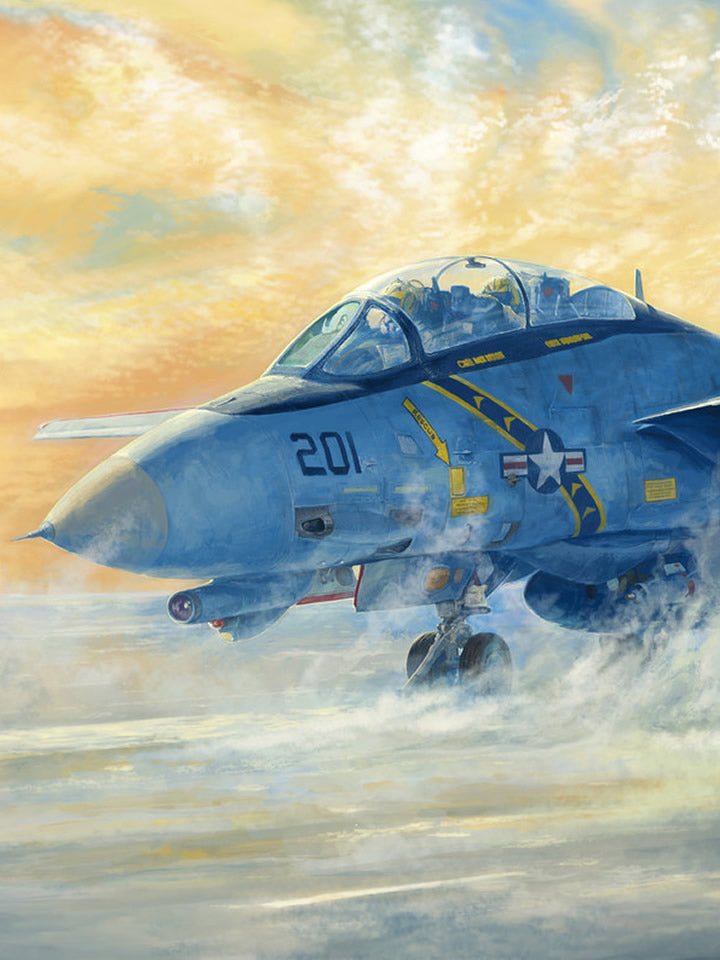 Diecast model|Airplane|Fighter|Car|Aircraft|Motorcycle|Metal