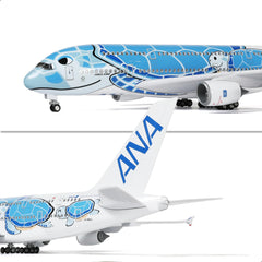 1/160 ANA Airbus A380 "Blue Sea Turtle" Model | FLYING HONU Large Scale Replica with Stand